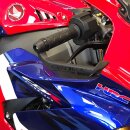 GBRacing Brake Lever Guard Honda CBR 1000 RR 04-21 / CBR 1000 RR-R 20- / CBR 600 RR 07-24 ( für orig. Lenkstummel )